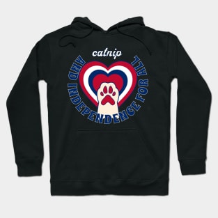4th of July Independence Day Funny Design for Cat Lovers Hoodie